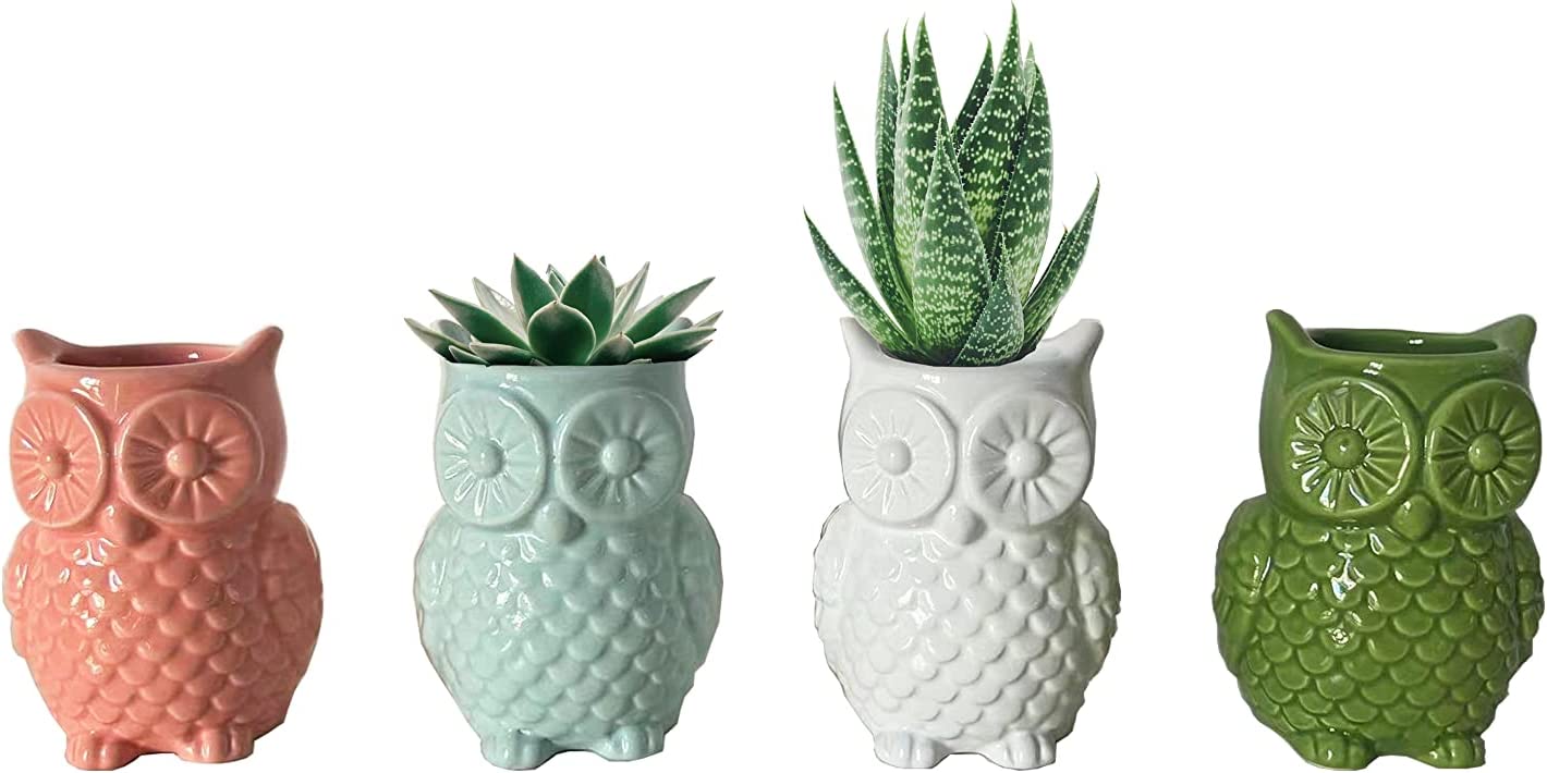 First of a Kind Set of 4 Ceramic Owl Shaped Vases